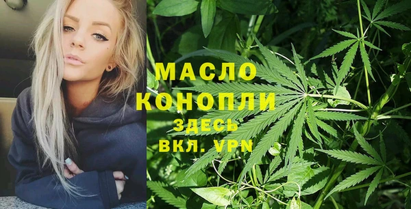 эйфоретик Дмитриев