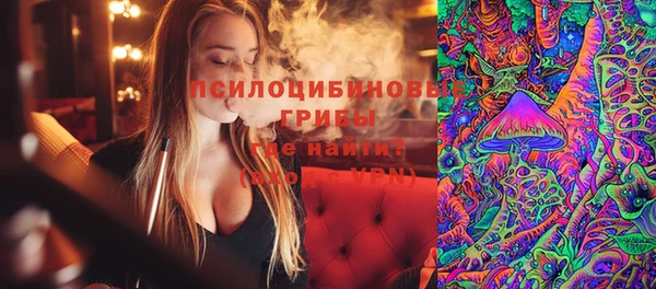 твердый Нягань