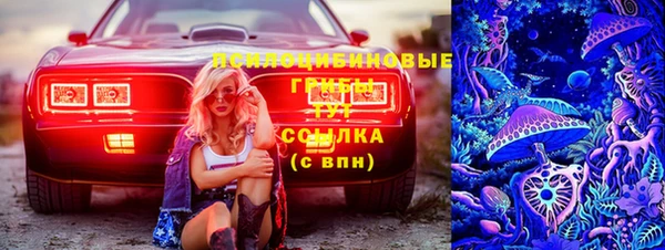 твердый Нягань