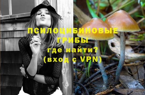 гашик Чердынь